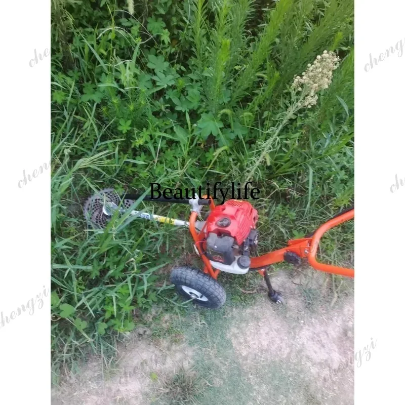 L178 Lawn mower hand push lawn - đánh giá và giá Gardening Tools Of