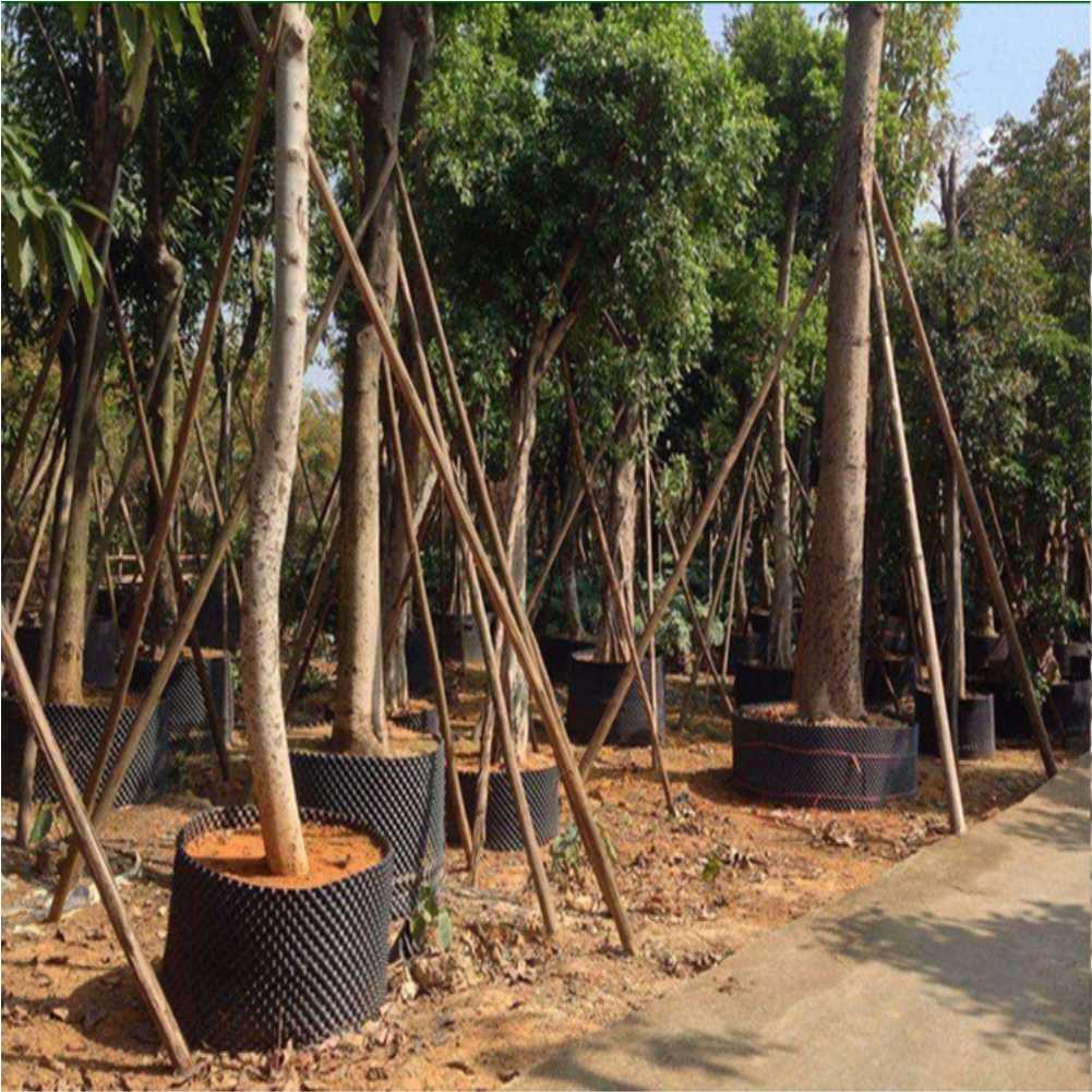 Grow Container Garden Tree Bon - đánh giá và giá Gardening Tools Of
