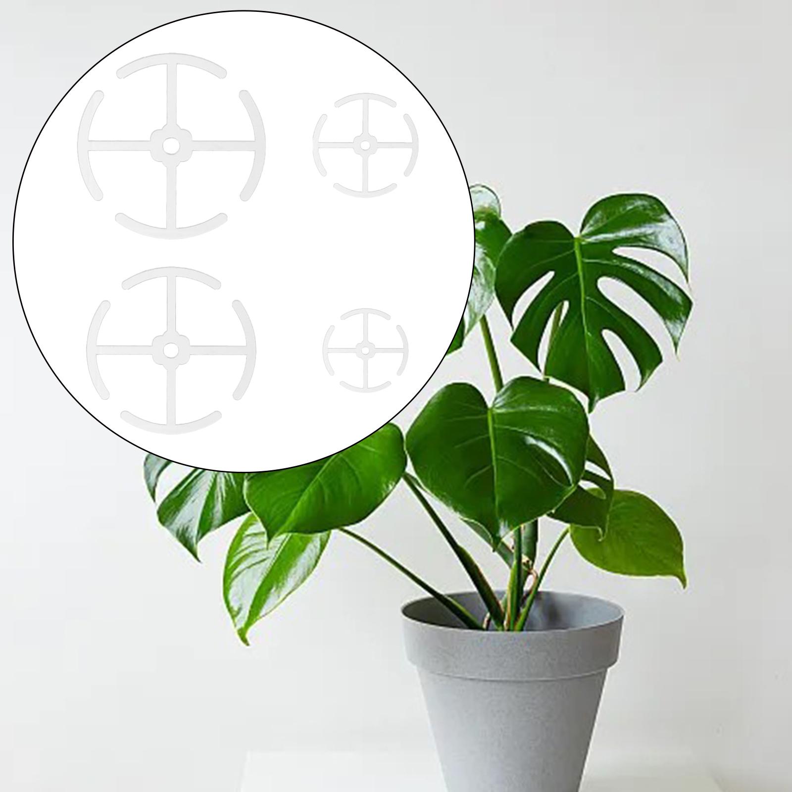 Plastic Plant Stem Holders Mul - đánh giá và giá Gardening Tools Holder