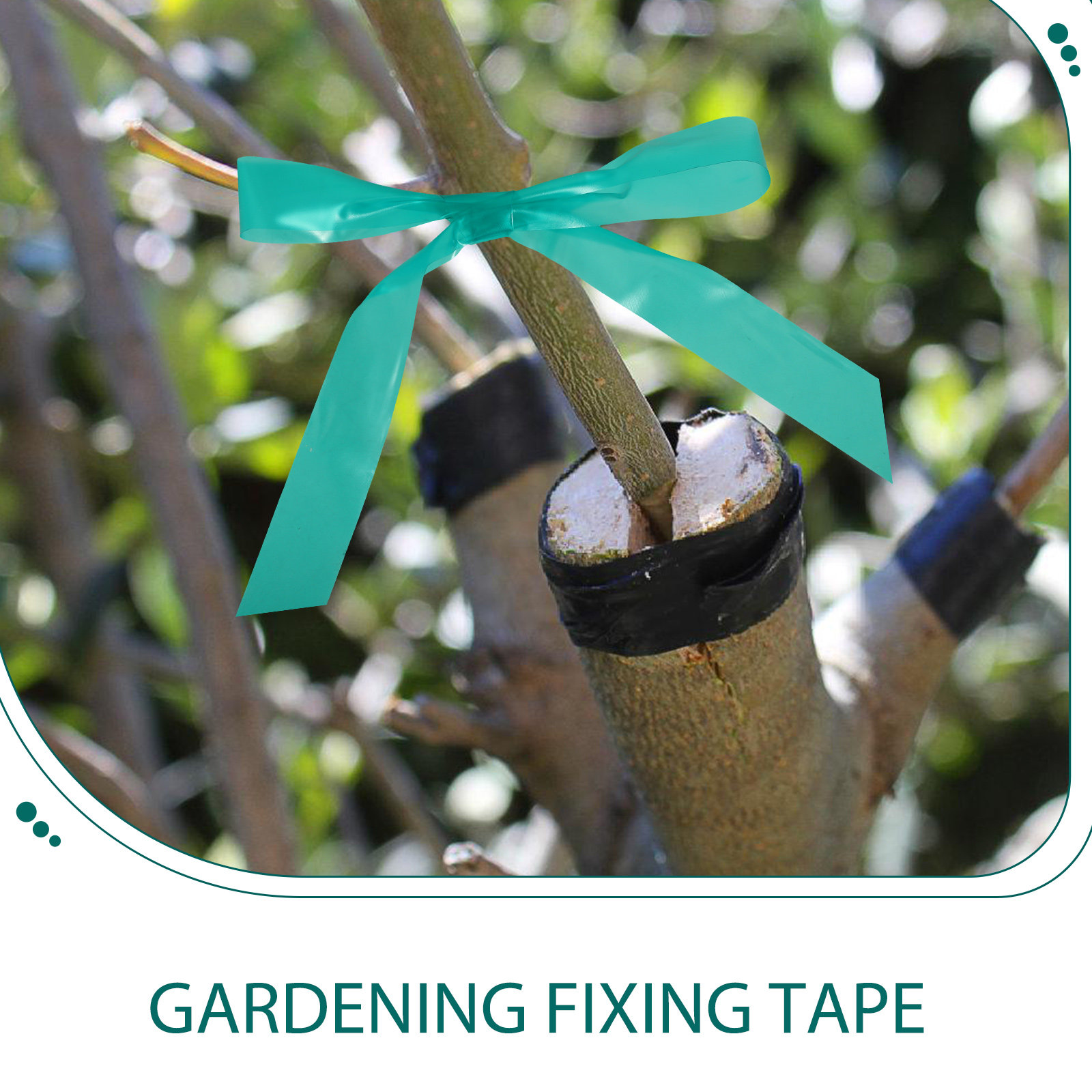 2 Rolls Garden Tie Tape Stretc - đánh giá và giá Grafting Tape