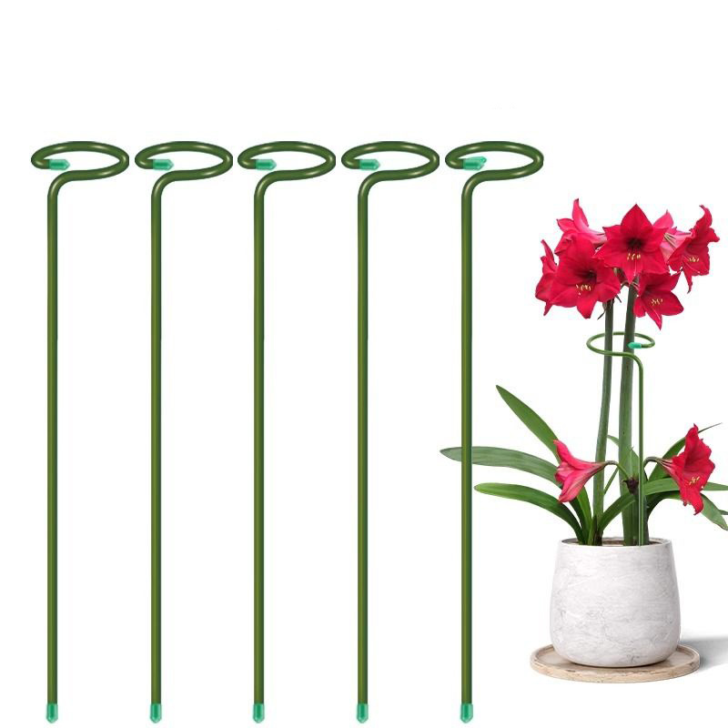 1-10pcs Metal Single Stem Plan - đánh giá và giá Gardening Tools Holder