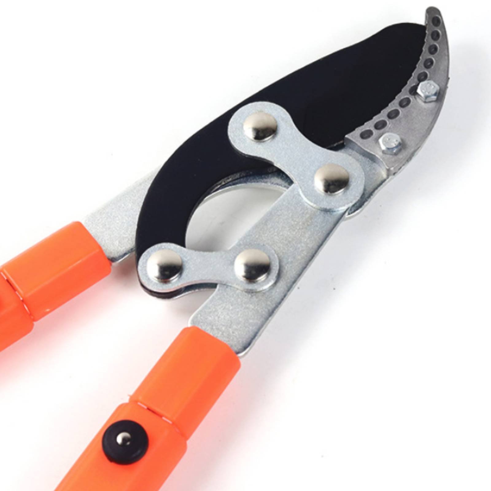 Telescopic Branch Pruners Shar - đánh giá và giá Gardening Tools Of