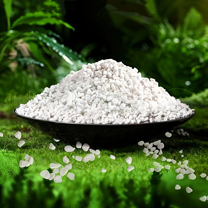 1 Pack of 3-6mm Horticultural  - đánh giá và giá Horticulture Soil Perlite