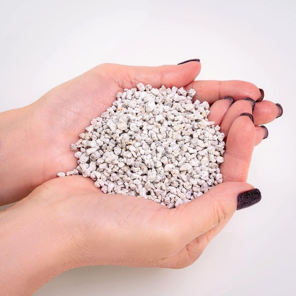Organic Perlite - Medium Grade - đánh giá và giá Horticulture Soil Perlite
