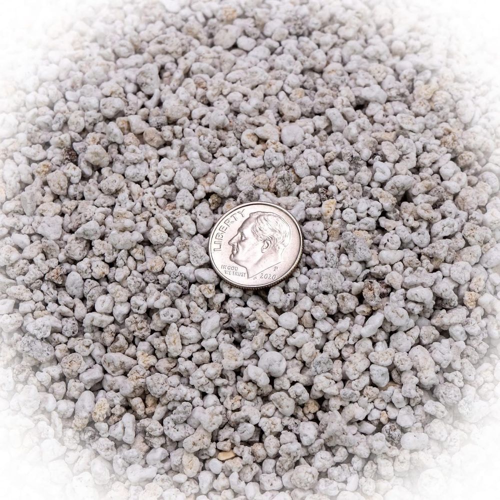Organic Perlite - Medium Grade - đánh giá và giá Horticulture Soil Perlite