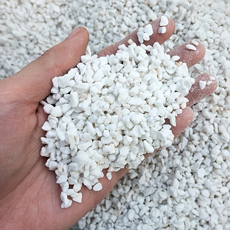 1 Pack of 3-6mm Horticultural  - đánh giá và giá Horticulture Soil Perlite